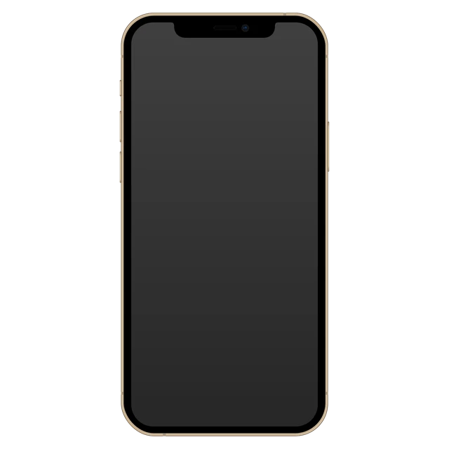 iPhone 12 128 GB · 100% de batería · Negro